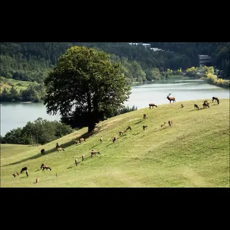 Casa vacanze Casa In Montagna A Badi