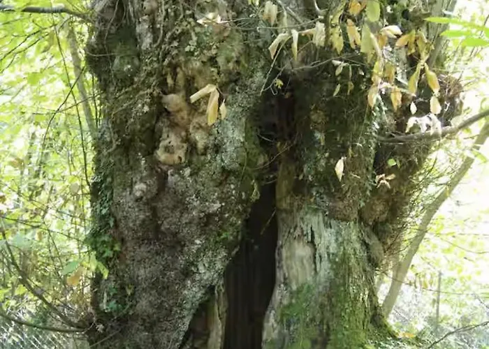 Casa In Montagna A Badi Casa de Férias Suviana