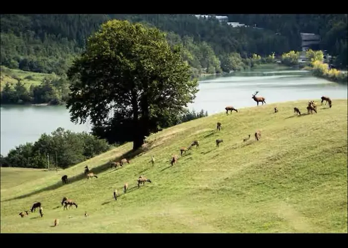 Casa de Férias Casa In Montagna A Badi